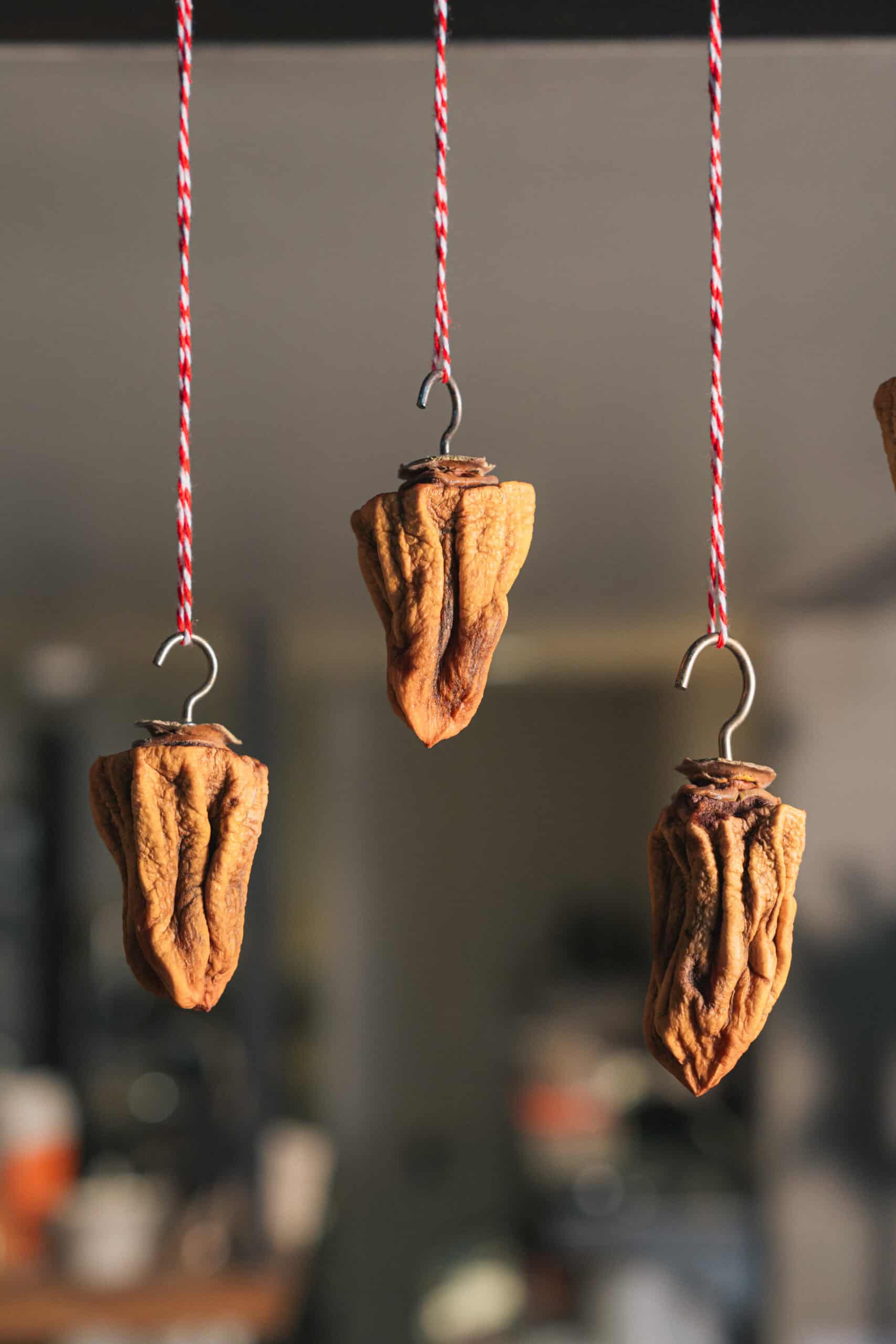 dried peppers hanging from the ceiling as decoration